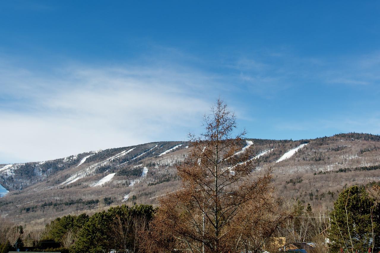 L'Urbain Apartman Saint-Ferreol-les-Neiges Kültér fotó